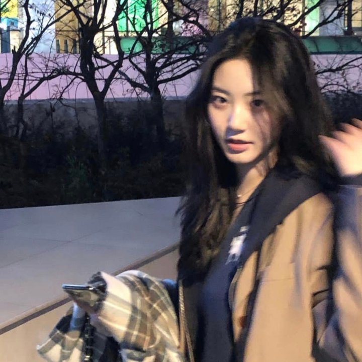 历物语 在线观看