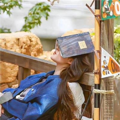情归长安 在线观看