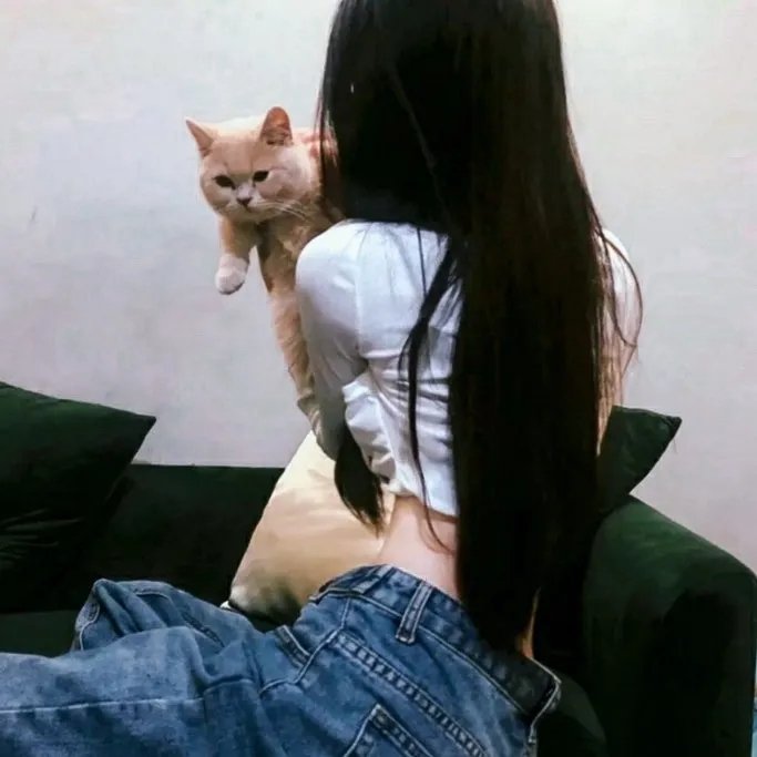 烽火岁月志 在线观看