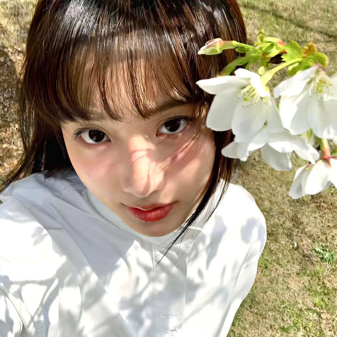 桃花源怪谈 在线观看